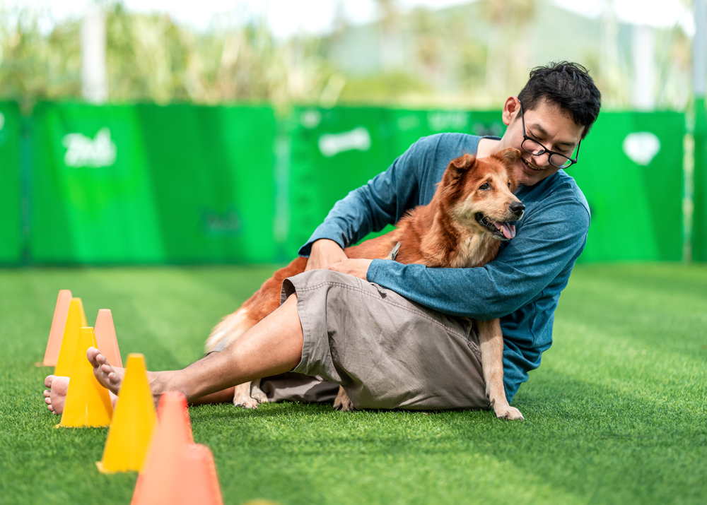 A man hug and play together with dog at dog park. Pet, family animal concept.